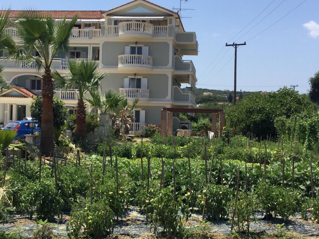 Hotel Villa Basil Tsilivi  Extérieur photo