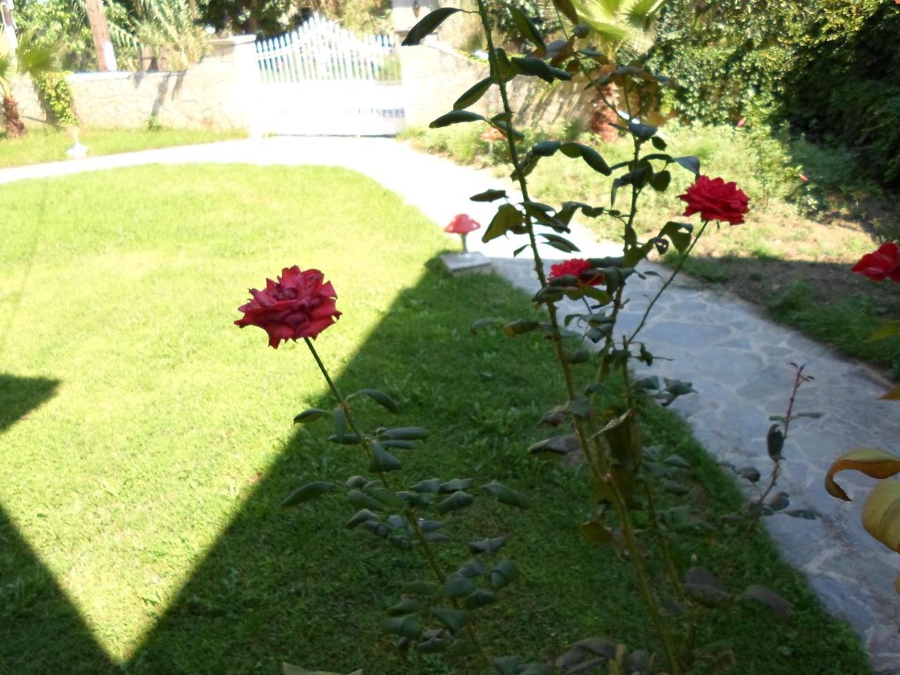 Hotel Villa Basil Tsilivi  Extérieur photo